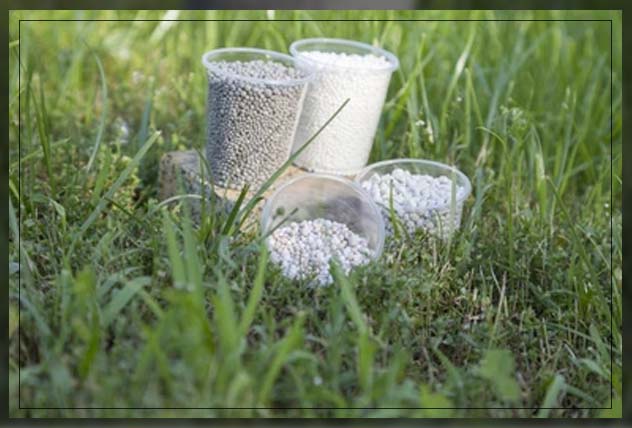 the environmental impact of inorganic fertilizers  