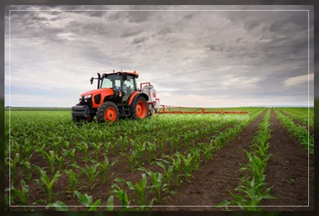 making use of inorganic fertilizer 