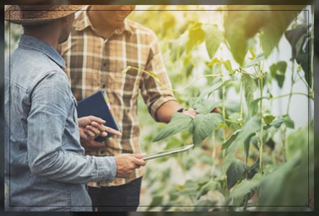 understanding the use of inorganic fertilizers