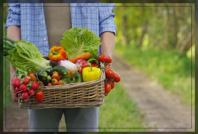 woman carrying organic vegetables