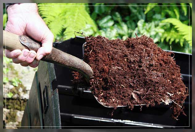 organic manure