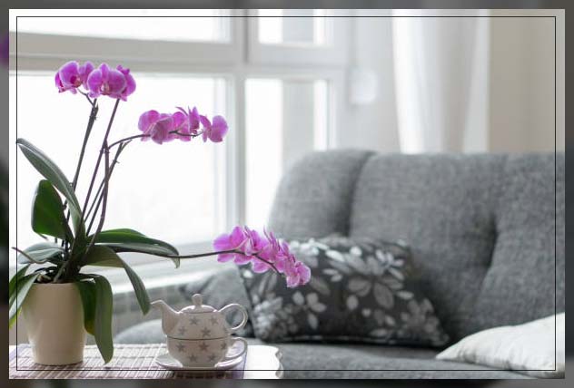 temperature requirments