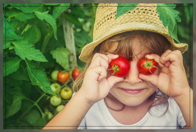 using vitamin C for gardening