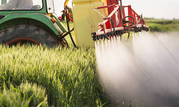 Ammonium nitrate fertilizer 5