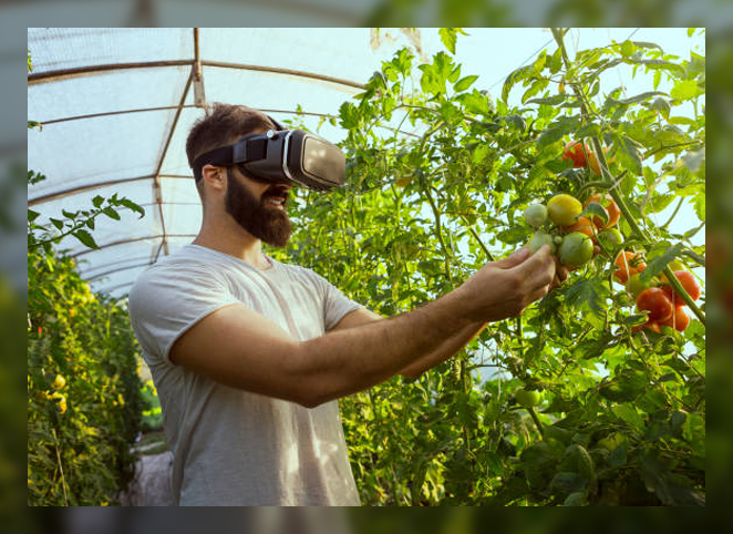 Digital Farming 1