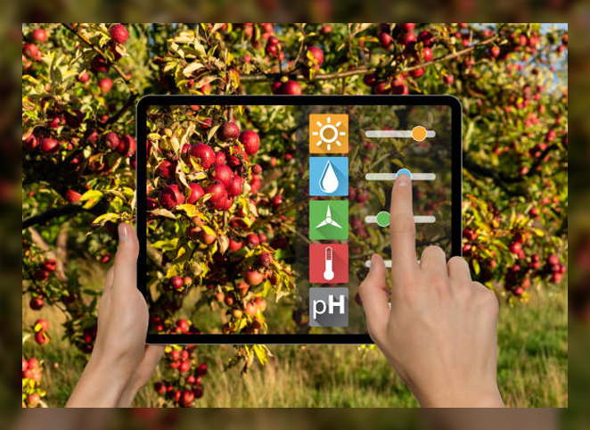 Digital Farming 3