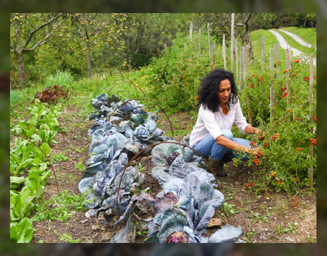 Permaculture gardening