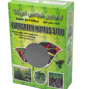 evergreen-100