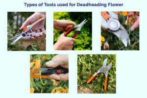 using deadhead tools