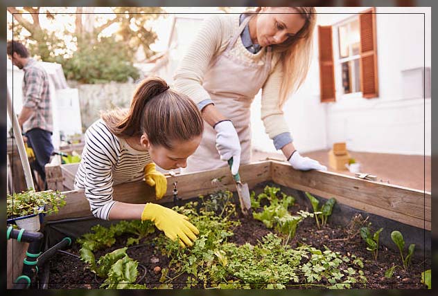 herb garden, location