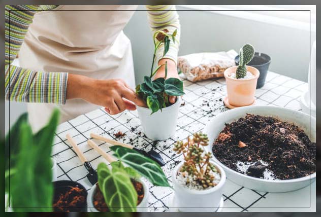 gardener adding fertilizer in pots