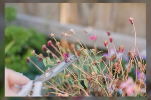 adapting deadhead tactics 