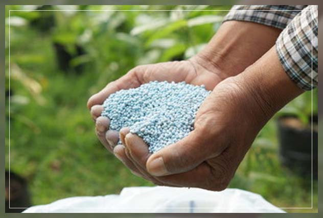 what are complete fertilizers