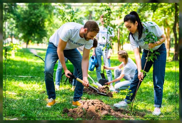 planting fruit trees effectively