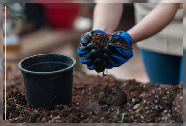 potting soil 1
