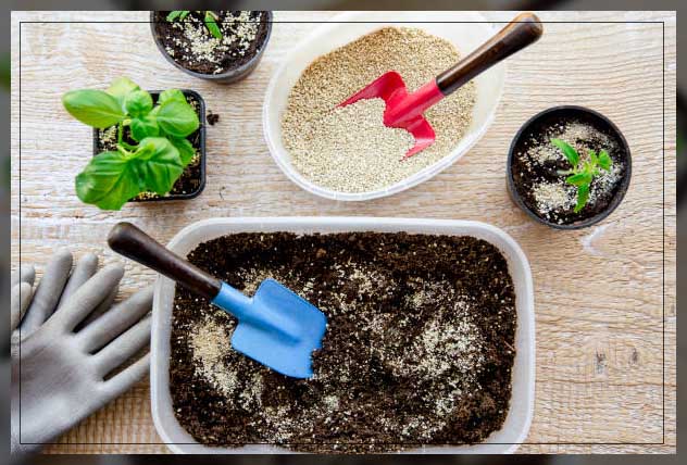 potting soil 3