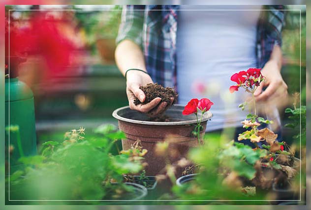 potting soil