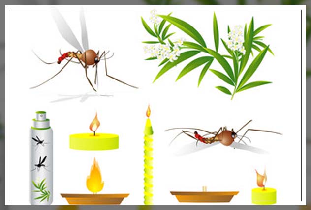 natural ways to repel mosquitos 