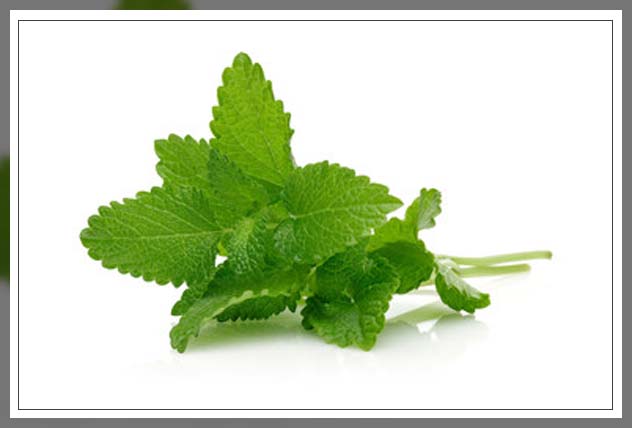 ensuring effective repellent