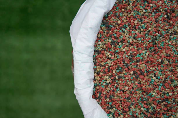 sulfur, plant nutrients