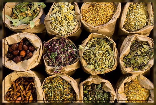 types of kitchen herb