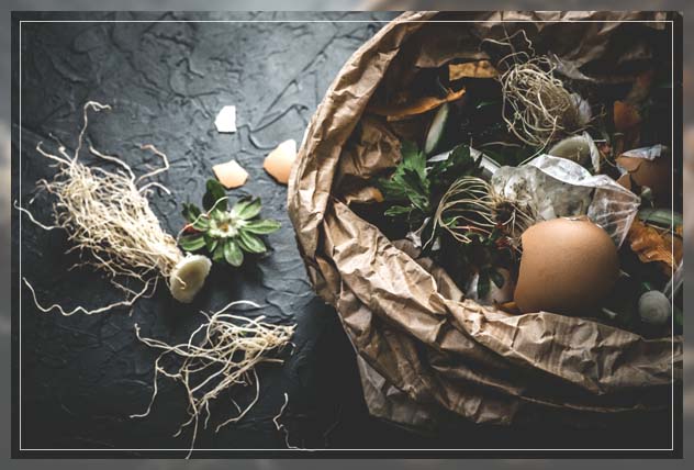 use of organic fertilizers 