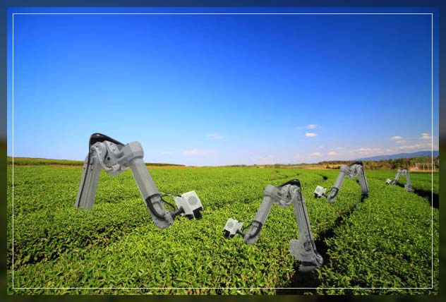 Advanced Technology in Agriculture 1