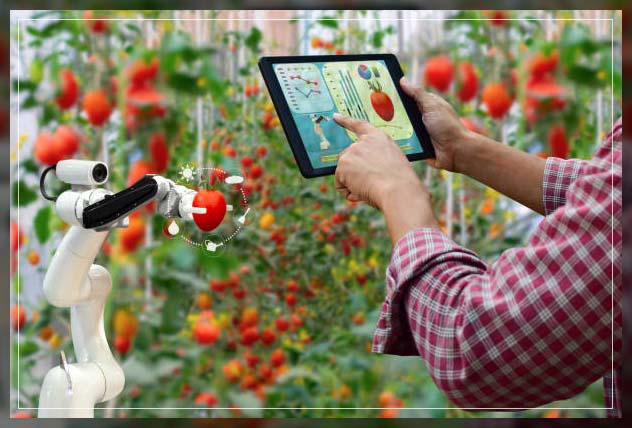 Advanced Technology in Agriculture 2
