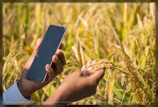 Advanced Technology in Agriculture 5