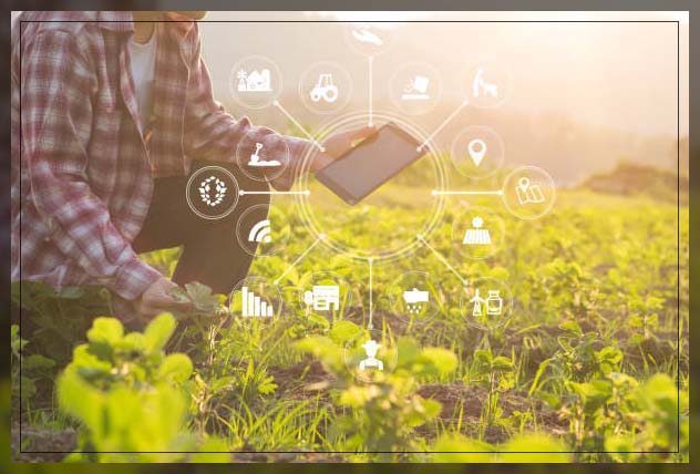 Advanced Technology in Agriculture 6