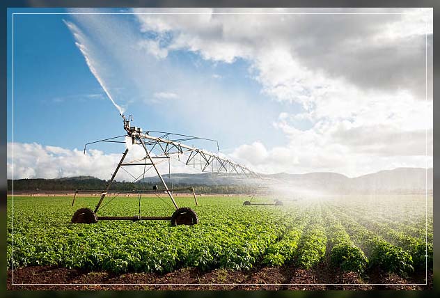 Advanced Technology in Agriculture 8
