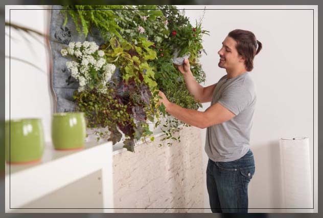 climbing plants