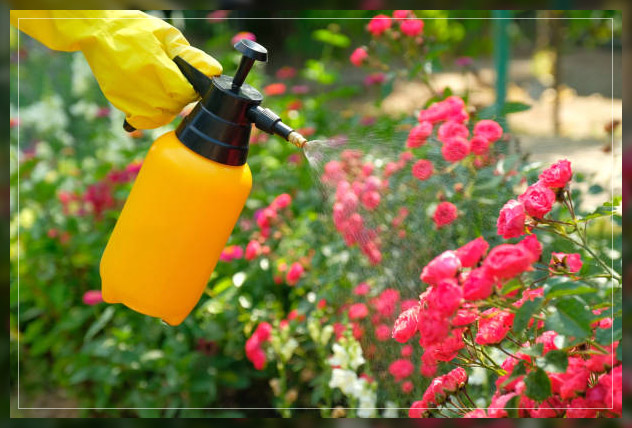 fertilizing flowering plants