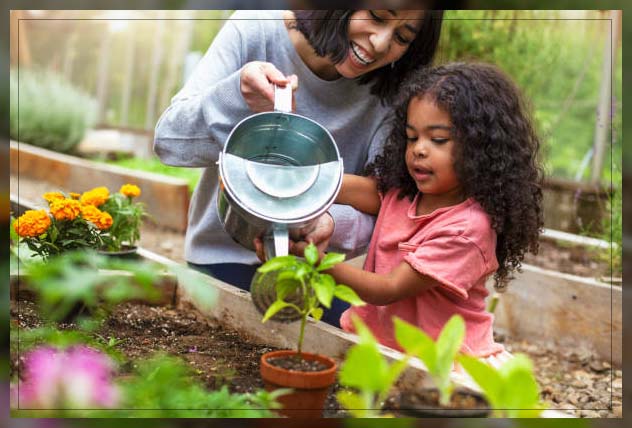 fertilizing outdoor plants