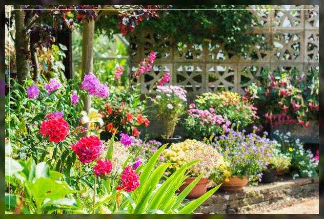 flowering plants