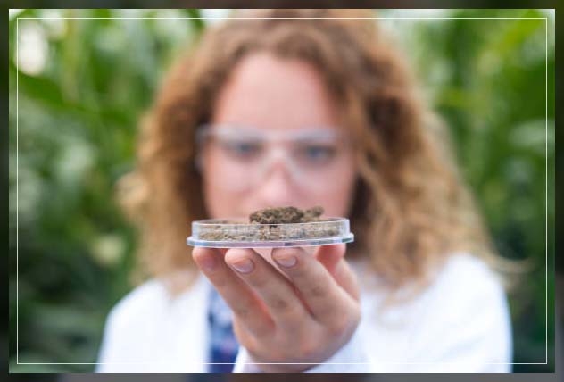 identifying the type of soil