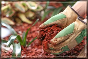 organic compost for your garden