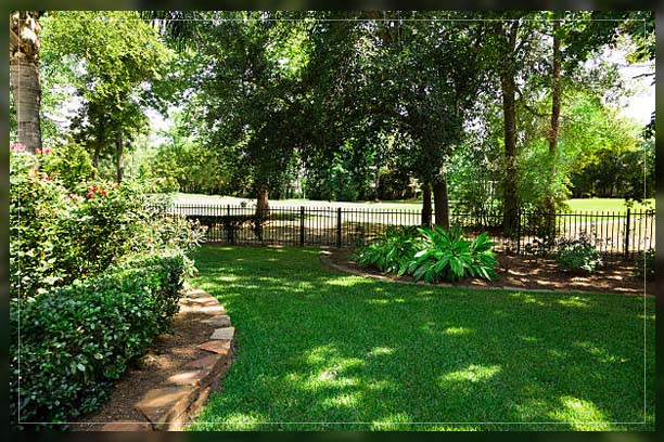 planting ideas in shade