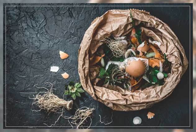 organic gardening impact