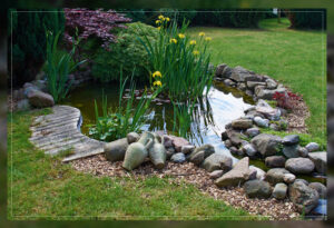 how rain gardens are effective