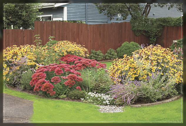 adapting rain garden techniques