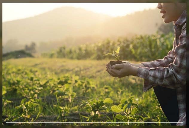 playing your part in regenerative organic agriculture