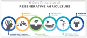 ensuring regenerative farming is the key to the future