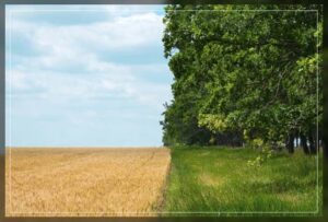 emphasizing on the health of the soil