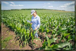adapt organic farming techniques