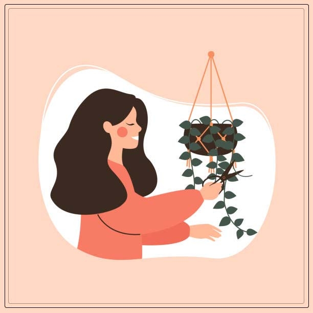 taking care of climbing plants