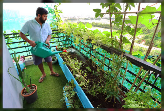 taking care of your flowering plants