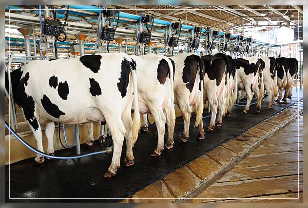 Information Technology 2