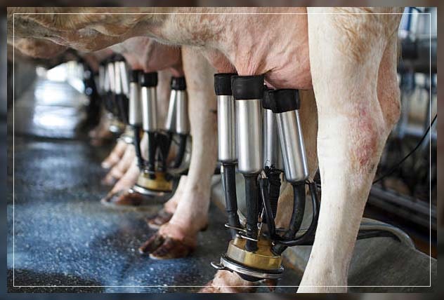 Information Technology 3