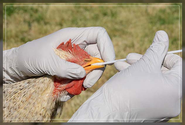 Information Technology 8